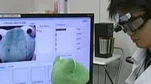 Japanese goggles memorise objects in home