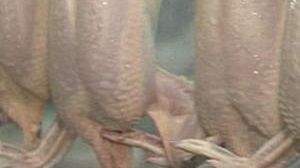 US chlorine-washed chicken pecking at EU door