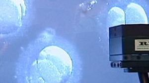 UK parliament backs Brown’s embryo law plans