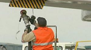 “La hausse du brut relève de la psychologie”, affirme le Pdg de Royal Dutch Shell, mais voyager par avion va coûter plus cher