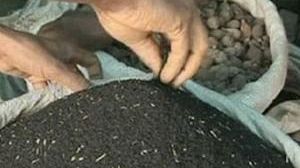 Baisse du prix des produits alimentaires de base depuis le début de l’année, excepté le riz