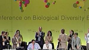 Fin de la conférence de l’ONU sur la biodiversité