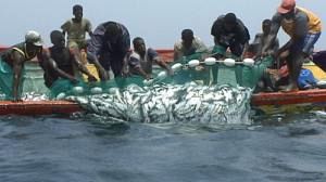 Pêcher mieux, pour pêcher plus longtemps