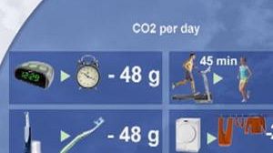 Journée de l’environnement : l’ONU publie un guide pour la neutralité climatique