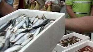 Call to triple state aid to fishermen