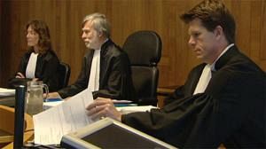 UN’s legal immunity challenged in Dutch court