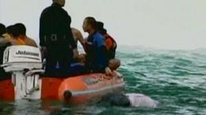 Hope fades as divers find only bodies in capsized Philippine ferry