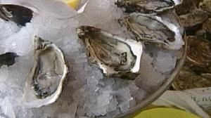 ¿Por qué se mueren las ostras en Francia?