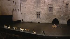 Actors descend on Avignon