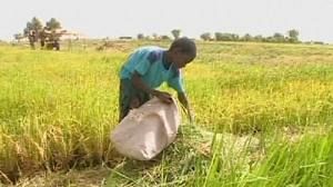 African farmers get billion euro EU boost