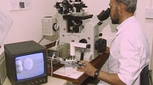 Roche bids for all of Genentech