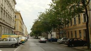 Karadzic, le guérisseur de Vienne