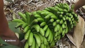Banana wars’ end could be near