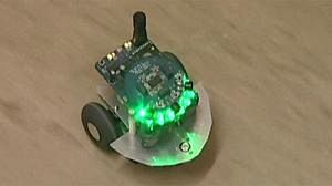 Un robot que se mueve impulsado por neuronas