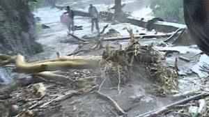 Southern US states brace for Hurricane Gustav