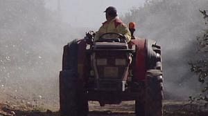 NGOs say will challenge new EU rules on pesticides