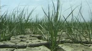 Le changement climatique, préoccupation majeure pour les Européens