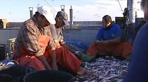 Bruxelles veut réduire drastiquement la flotte de pêche européenne