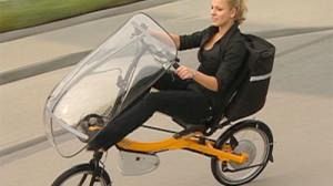 Le vélo est roi