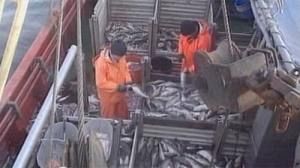 EU fisheries ministers to tear up 25yr -old policy