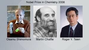 Trois Américains reçoivent le Prix Nobel de Chimie