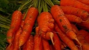 La Comisión quiere enterrar las reglas comerciales sobre el tamaño de frutas y verduras
