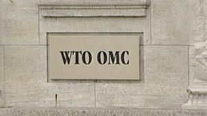 WTO examines credit crunch effects