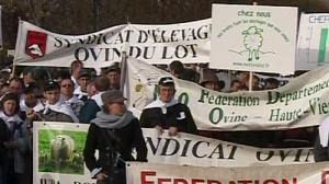 EU sheep farmers flock to Paris for income protest