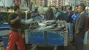 Du filet à l’assiette: renforcer le contrôle de la pêche en Europe