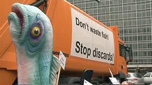 EU quota summit urged to reduce fishing waste