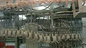 Washington lance la guerre commerciale du poulet au chlore