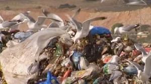 Greece faces fines over fly-tipping