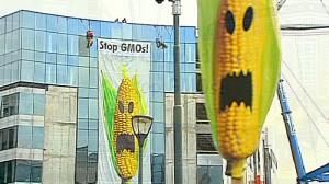 Bruxelles revient à la charge pour faire autoriser de nouveaux OGM