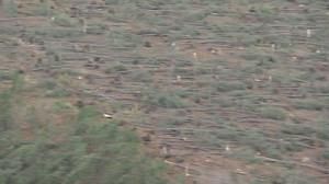 Fierce European storms leave wave of devastation