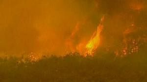 Police say some fires in S.Australia “arson”