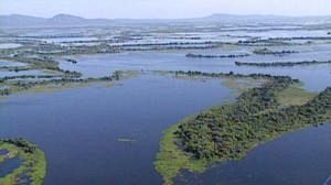 Los ecologistas advierten del peligro que corre el Gran Pantanal sudamericano