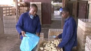 Cameroon – battle for food sovereignty