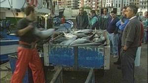 Legal defeat for France over fishermens’ nets.