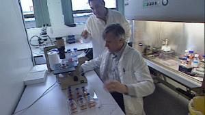 US stem cell scientists back in business