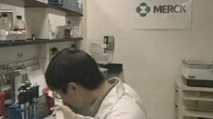 Merck to merge with Schering-Plough