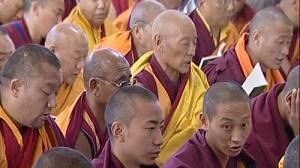 Are Tibetans losing faith with “middle way’‘