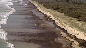 Australia’s northeast coast under threat from oil and fertiliser slick