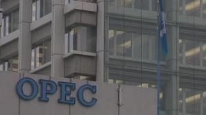 OPEC decides on output cuts