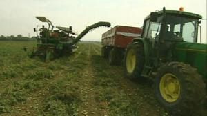 Taste of farming for Brussels workers