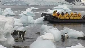 Tourism in Antartica to be curtailed