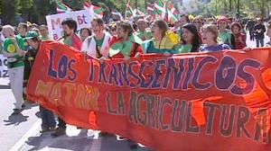 Tausende protestieren gegen Genmais