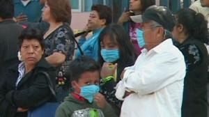 La gripe porcina pone en alerta a toda América