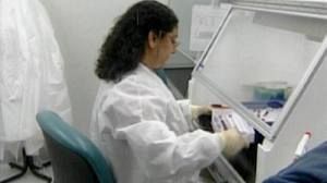 Swine flu spreads across the Americas