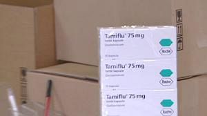 EU considers fast-tracking flu vaccines