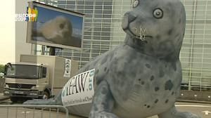 EU bans seal products